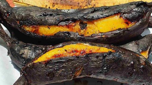 asando plátanos bellacos para el tacacho