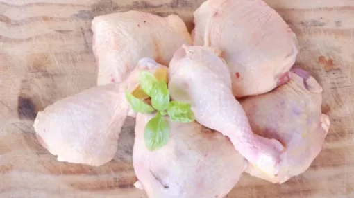 pollo